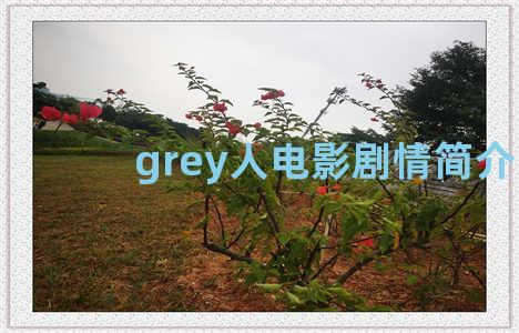 grey人电影剧情简介