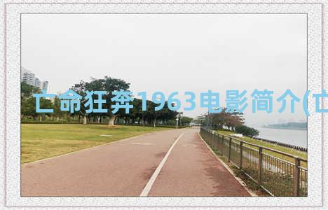 亡命狂奔1963电影简介(亡命狂徒)