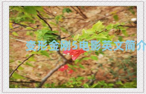 变形金刚5电影英文简介ppt