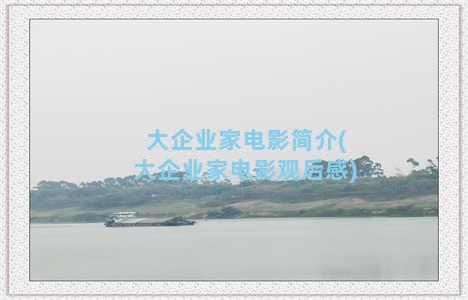 大企业家电影简介(大企业家电影观后感)