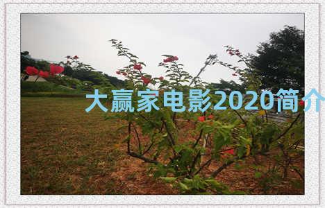 大赢家电影2020简介