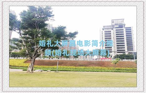 婚礼大屏幕电影简介视频(婚礼现场大屏幕)