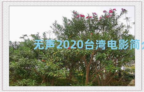 无声2020台湾电影简介