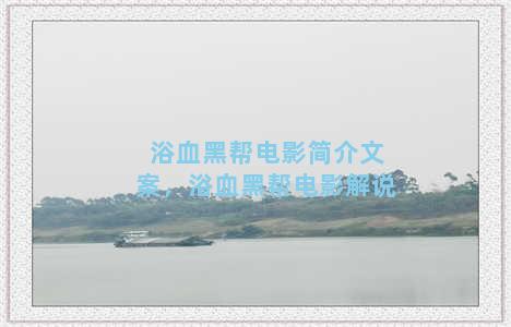 浴血黑帮电影简介文案，浴血黑帮电影解说