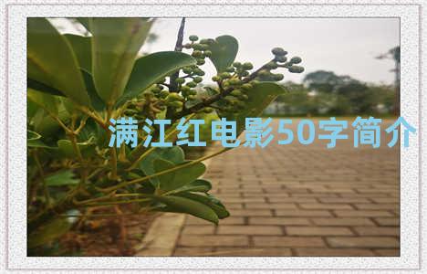 满江红电影50字简介