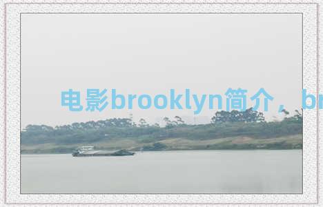 电影brooklyn简介，brio电影