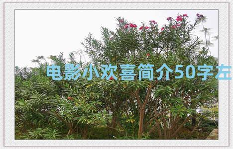 电影小欢喜简介50字左右