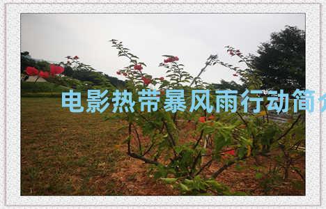 电影热带暴风雨行动简介