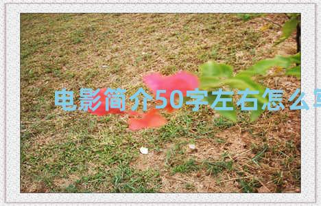 电影简介50字左右怎么写的