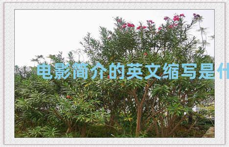 电影简介的英文缩写是什么