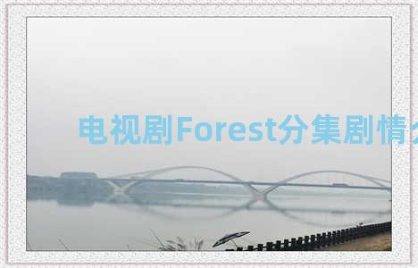 电视剧Forest分集剧情介绍