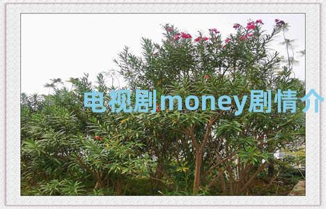 电视剧money剧情介绍