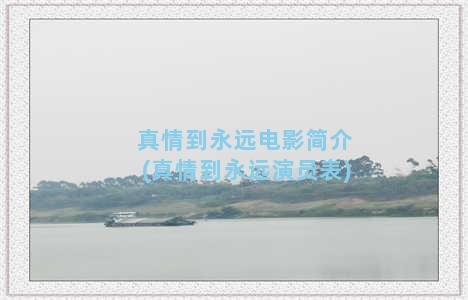 真情到永远电影简介(真情到永远演员表)