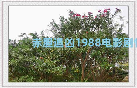 赤胆追凶1988电影剧情